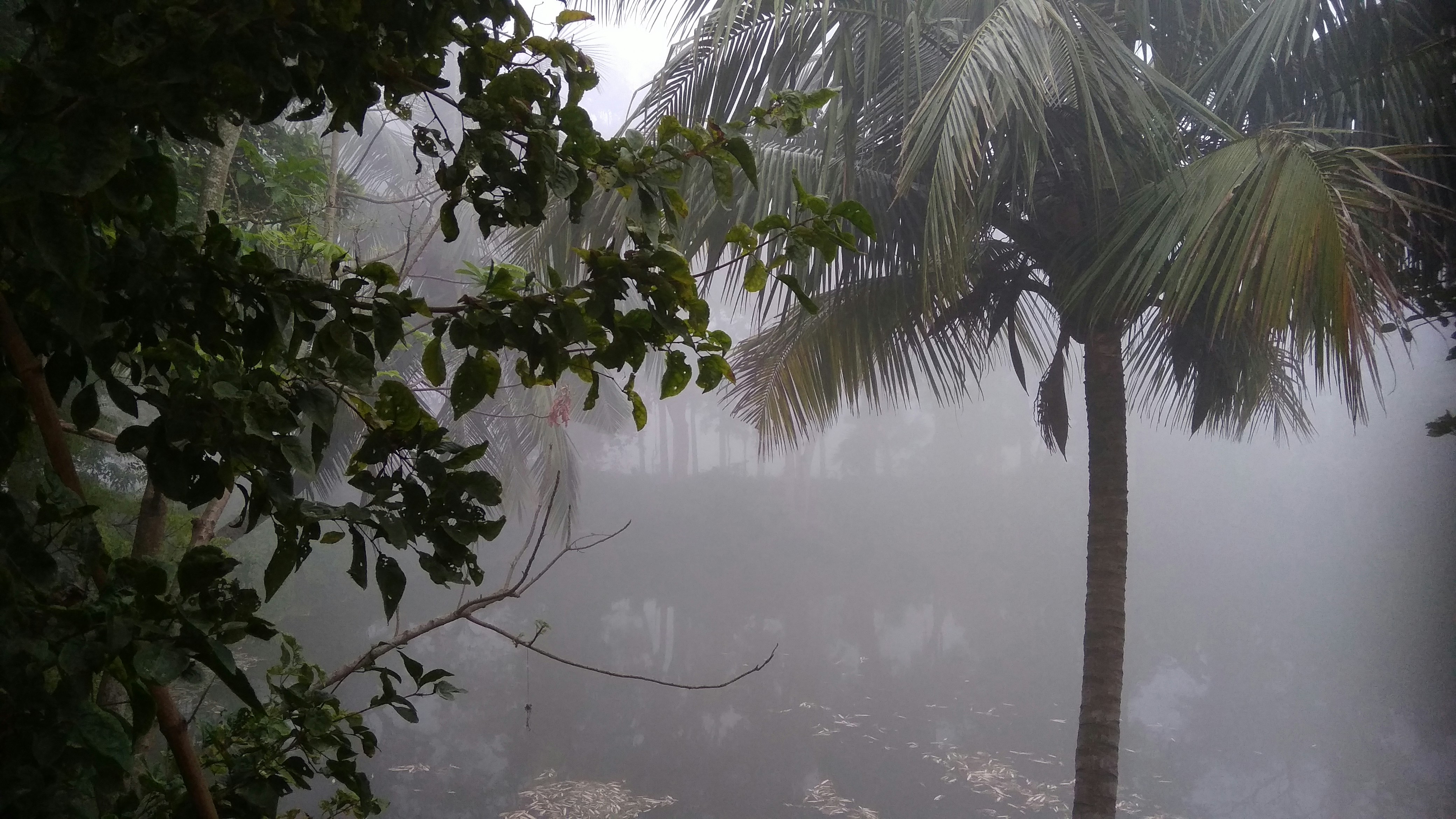 Monsoon Getaway Trip